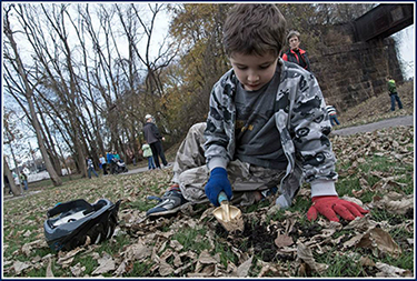 Rowan Digging